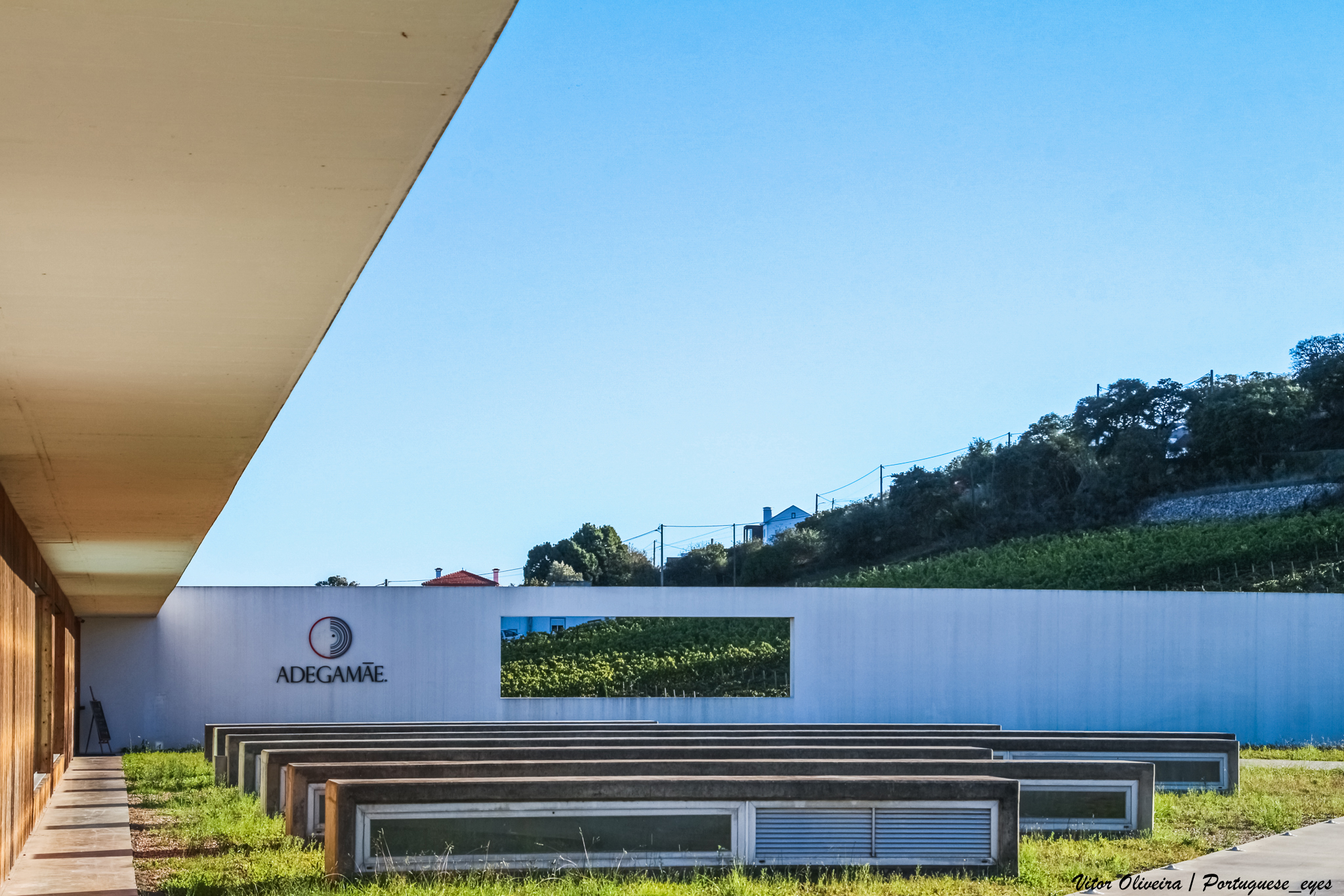 AdegaMãe e vinhas em Fernandinho, Torres Vedras